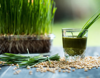 wheatgrass-drink,-30-weight-loss-tips-in-30-days---#30-wheatgrass-powder-by-healthista.com